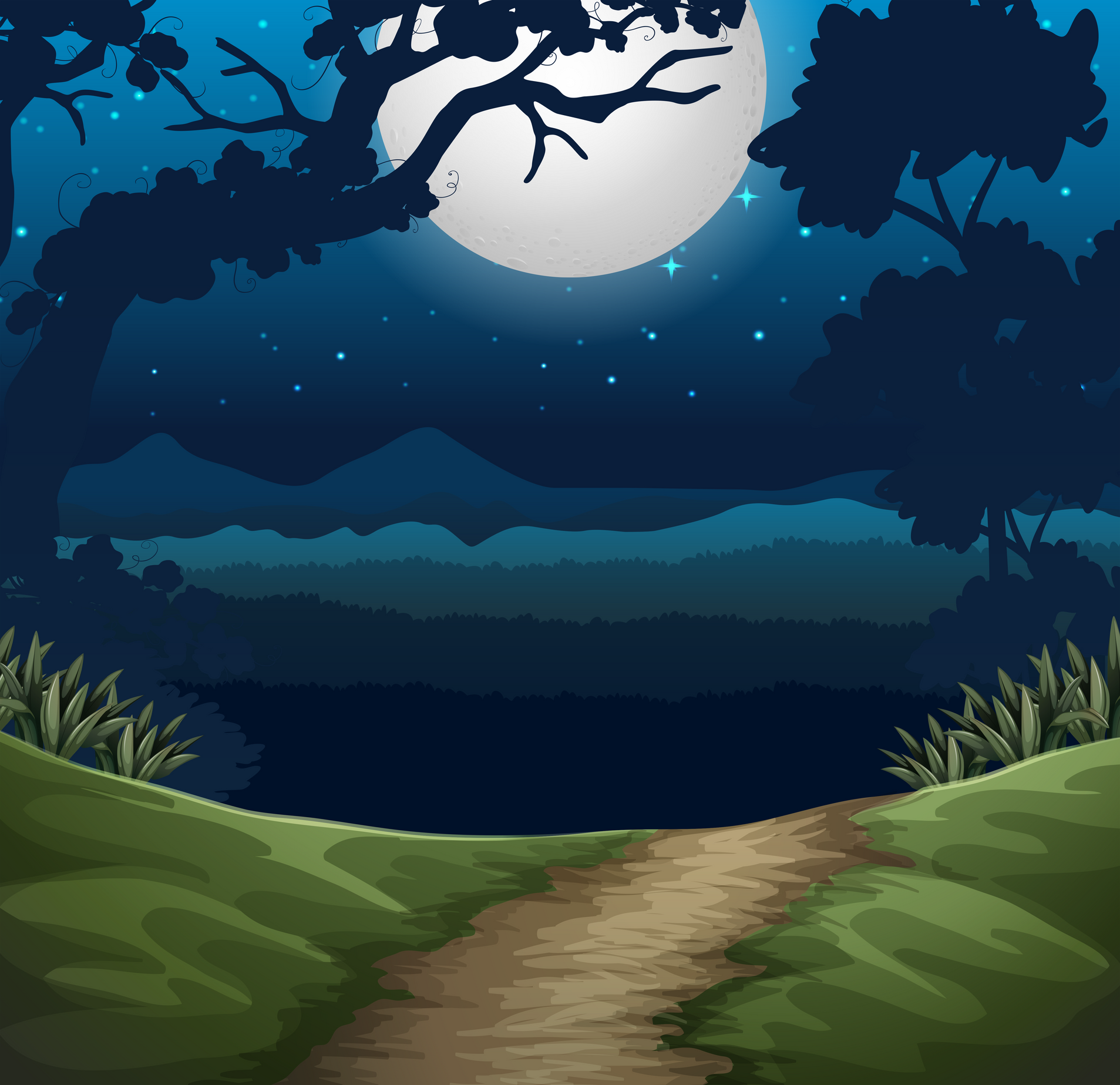 forest at night scene